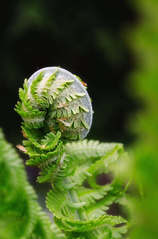 )))) ����� ������ ���������� �� PhotoGeek.ru #������ ��� ������� #���������