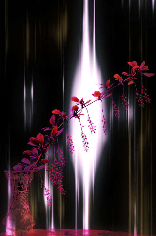 ������� ����� ������ ���������� �� PhotoGeek.ru #��������� #���-����������� #���������������