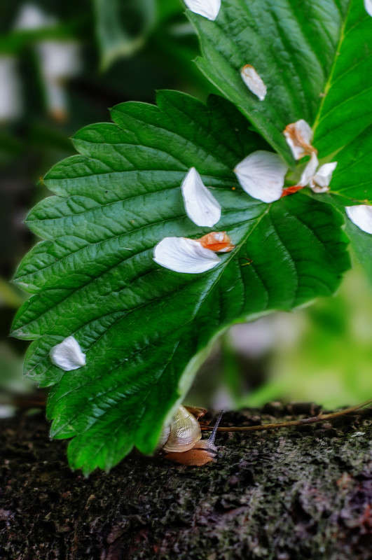 ))) ����� ������ ���������� �� PhotoGeek.ru #������ ��� ������� #���������