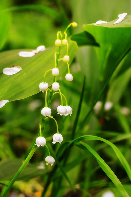 ))) ����� ������ ���������� �� PhotoGeek.ru #������ ��� ������� #���������