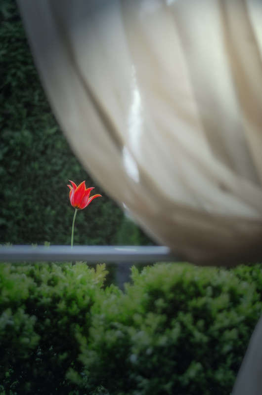 ��� ���-�� ������� ������..... ����� ������ ���������� �� PhotoGeek.ru #������ ��� ������� #���������