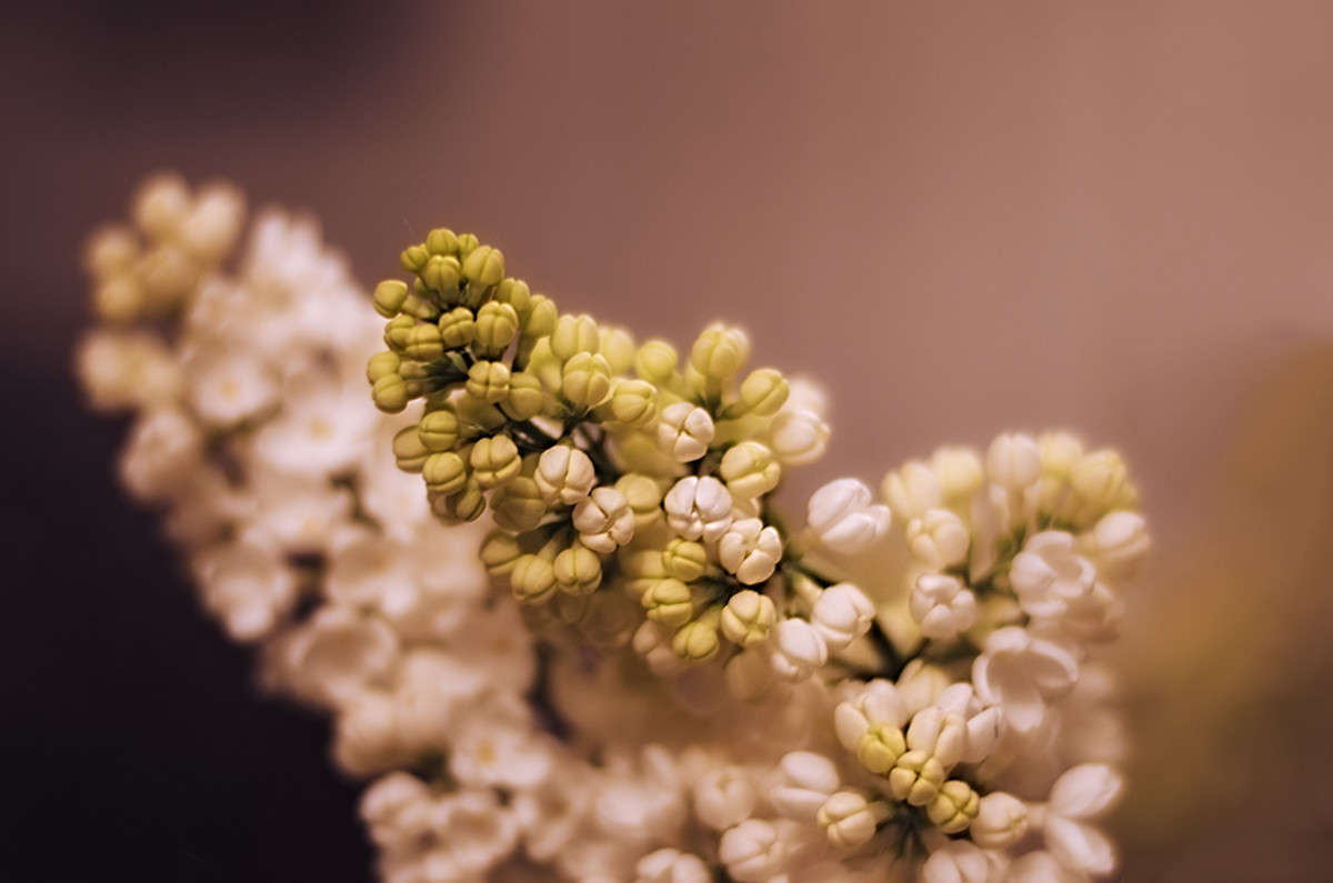 )))) ����� ������ ���������� �� PhotoGeek.ru #������ ��� ������� #���������