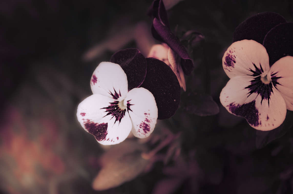 ))))) ����� ������ ���������� �� PhotoGeek.ru #������ ��� ������� #���������