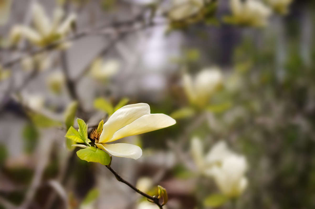 ))) ����� ������ ���������� �� PhotoGeek.ru #������ ��� ������� #���������