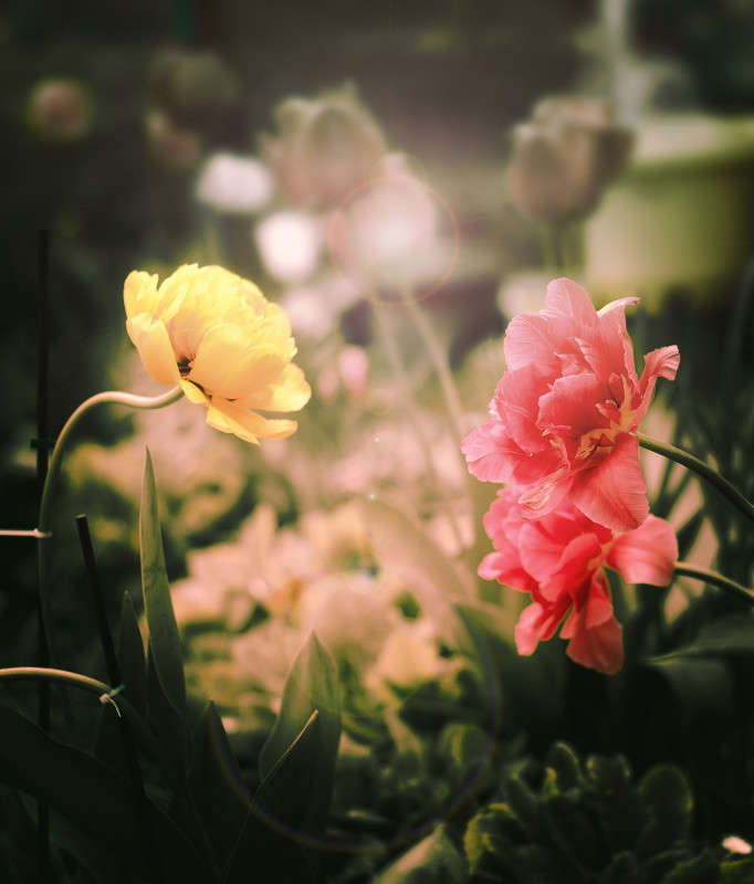 ������ ���� ����� ������ ���������� �� PhotoGeek.ru #������ ��� ������� #���������