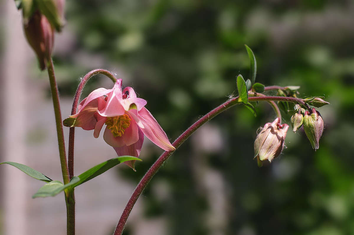 ))) ����� ������ ���������� �� PhotoGeek.ru #������ ��� ������� #���������