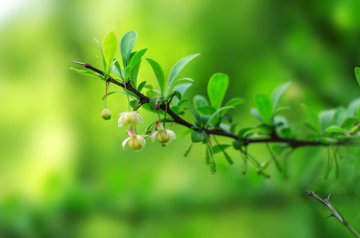 ))) ����� ������ ���������� �� PhotoGeek.ru #������ ��� ������� #���������