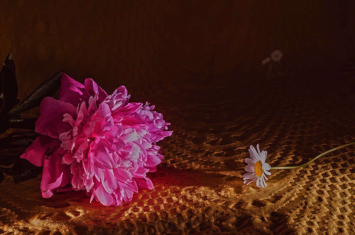 ��������� ? ����� ������ ���������� �� PhotoGeek.ru #��������� #�������������