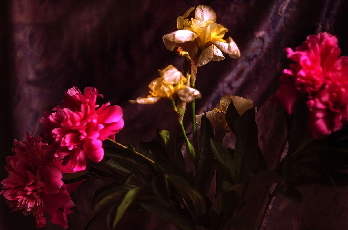 ))) ����� ������ ���������� �� PhotoGeek.ru #������ ��� ������� #����� �������������� #���������