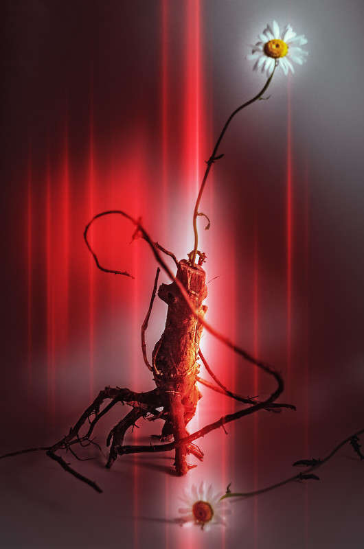 ))) ����� ������ ���������� �� PhotoGeek.ru #���������