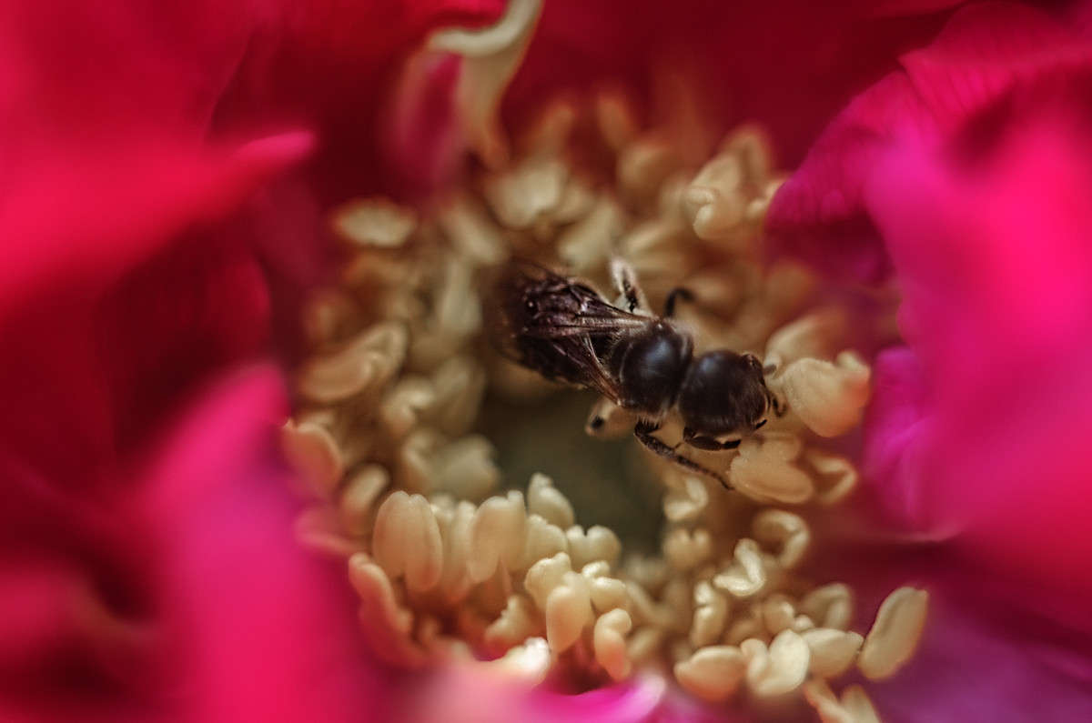 ������ ������ ����� ������ ���������� �� PhotoGeek.ru #������ ��� ������� #����� �������������� #���������