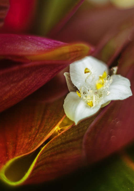 ))) ����� ������ ���������� �� PhotoGeek.ru #������ ��� ������� #����� ��������������