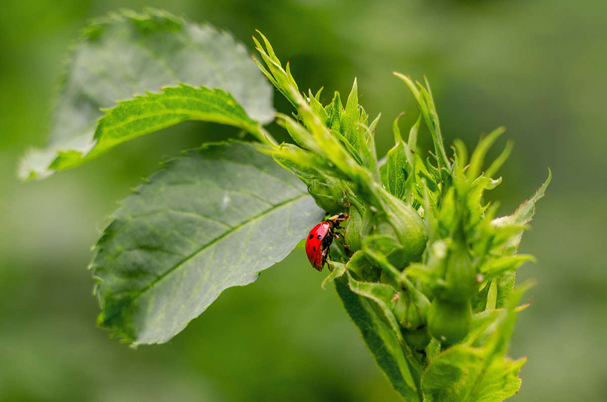 ))) ����� ������ ���������� �� PhotoGeek.ru #����� #������ ��� ������� #����� �������������� #���������