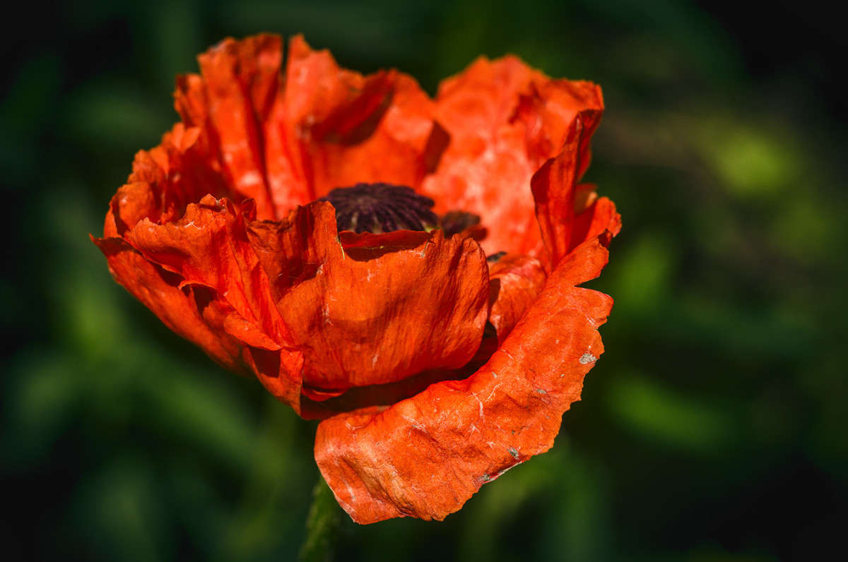 ��� ����� ������ ���������� �� PhotoGeek.ru #������ ��� ������� #����� ��������������