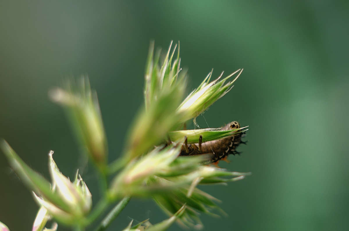 ))) ����� ������ ���������� �� PhotoGeek.ru #����� #���������