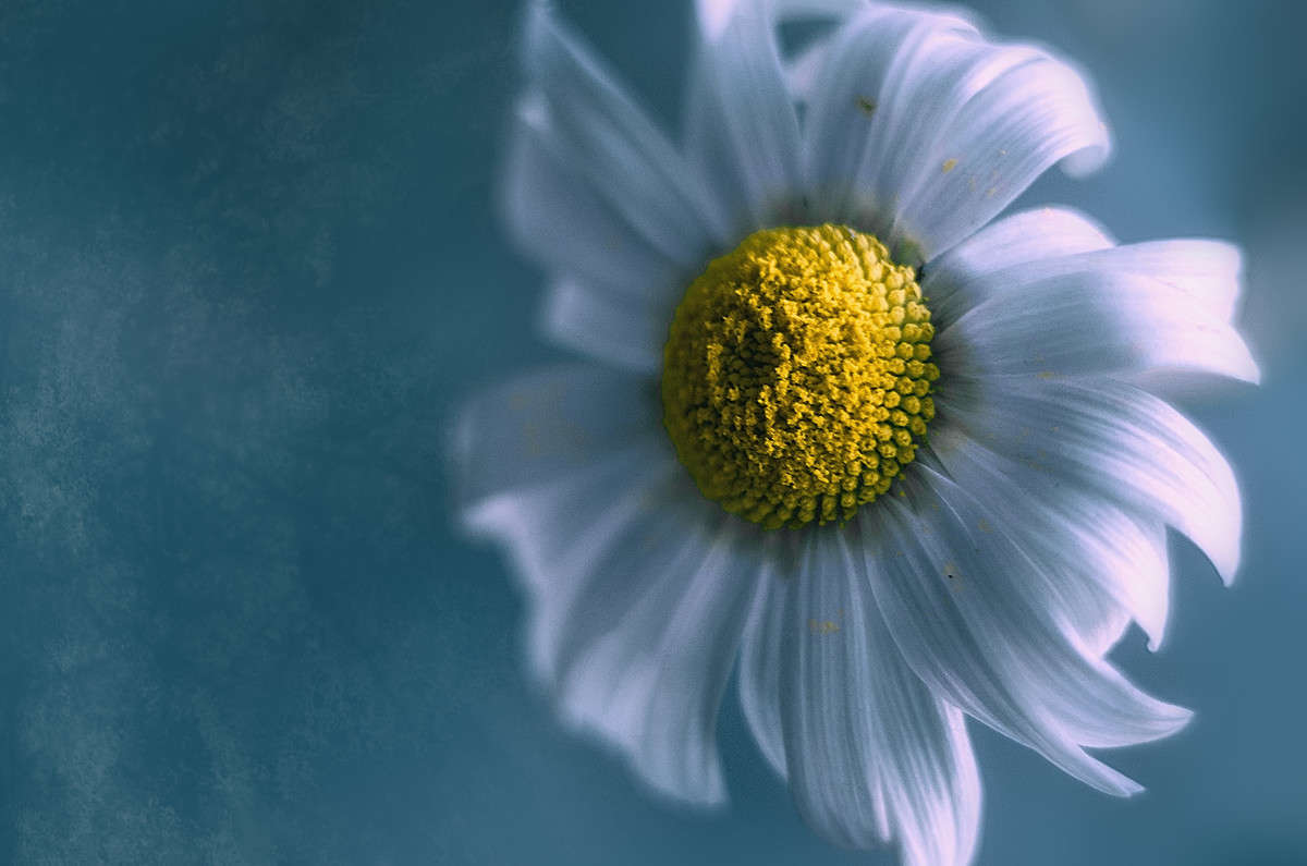 � ������� ����� ������� ����� ������ ���������� �� PhotoGeek.ru #������ ��� ������� #���������