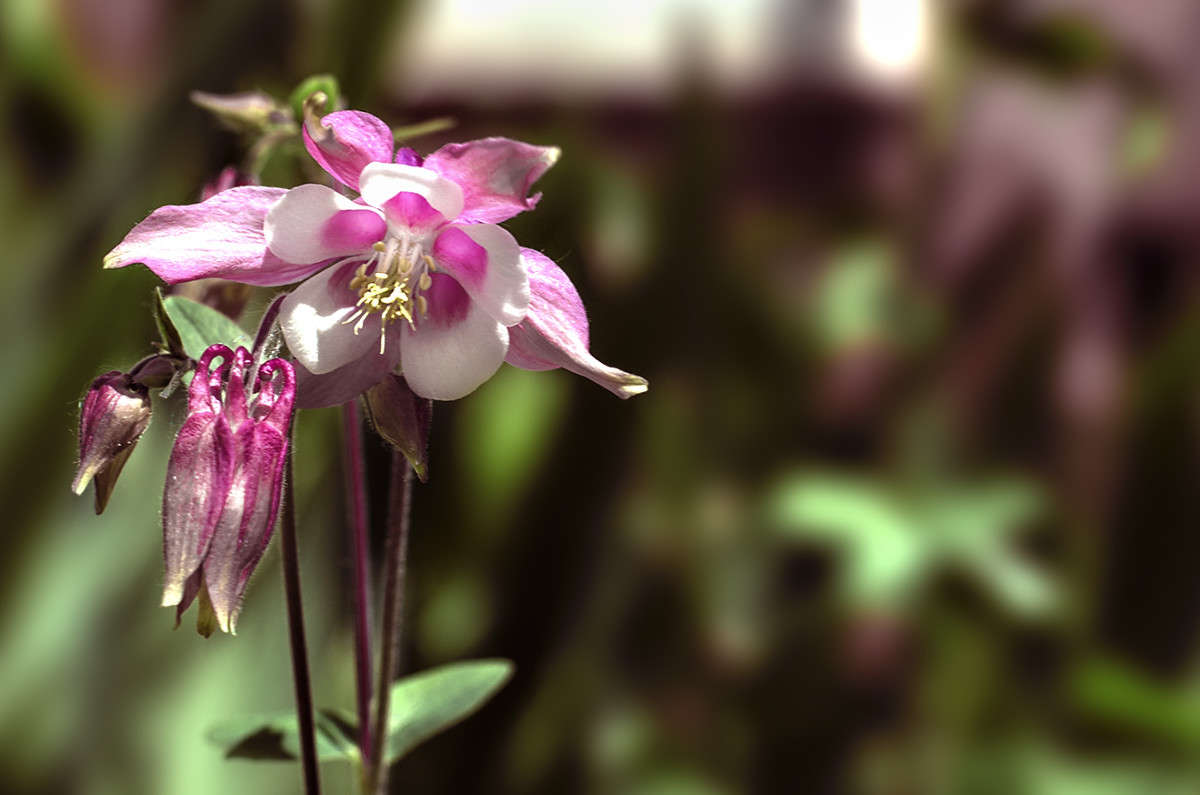 ))) ����� ������ ���������� �� PhotoGeek.ru #������ ��� ������� #���������