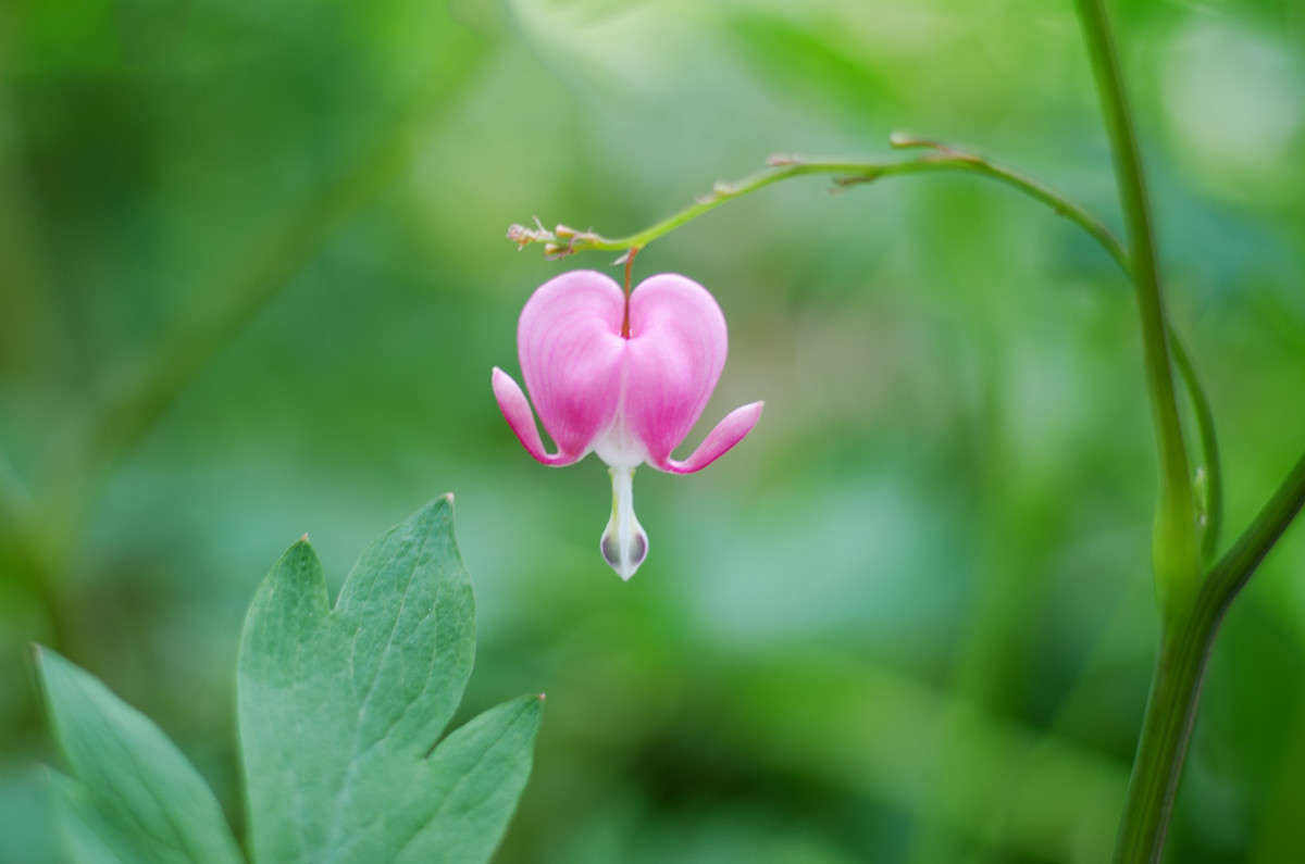 ))) ����� ������ ���������� �� PhotoGeek.ru #������ ��� ������� #����� �������������� #���������