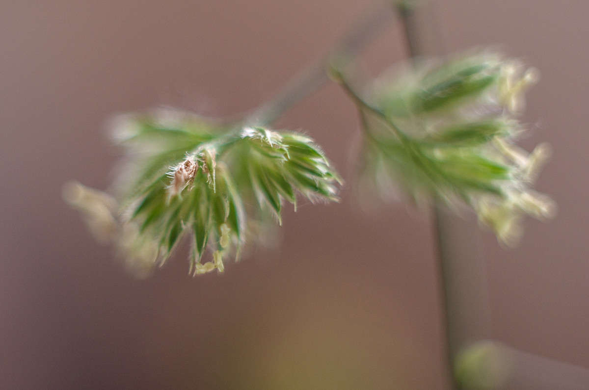 ... ����� ������ ���������� �� PhotoGeek.ru #����� #����� ��������������