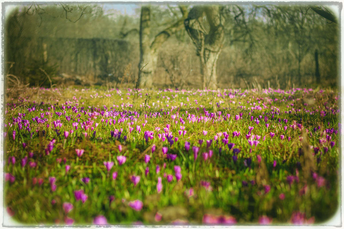 ���� �������� ����� ������ ���������� �� PhotoGeek.ru #������ ��� ������� #���������