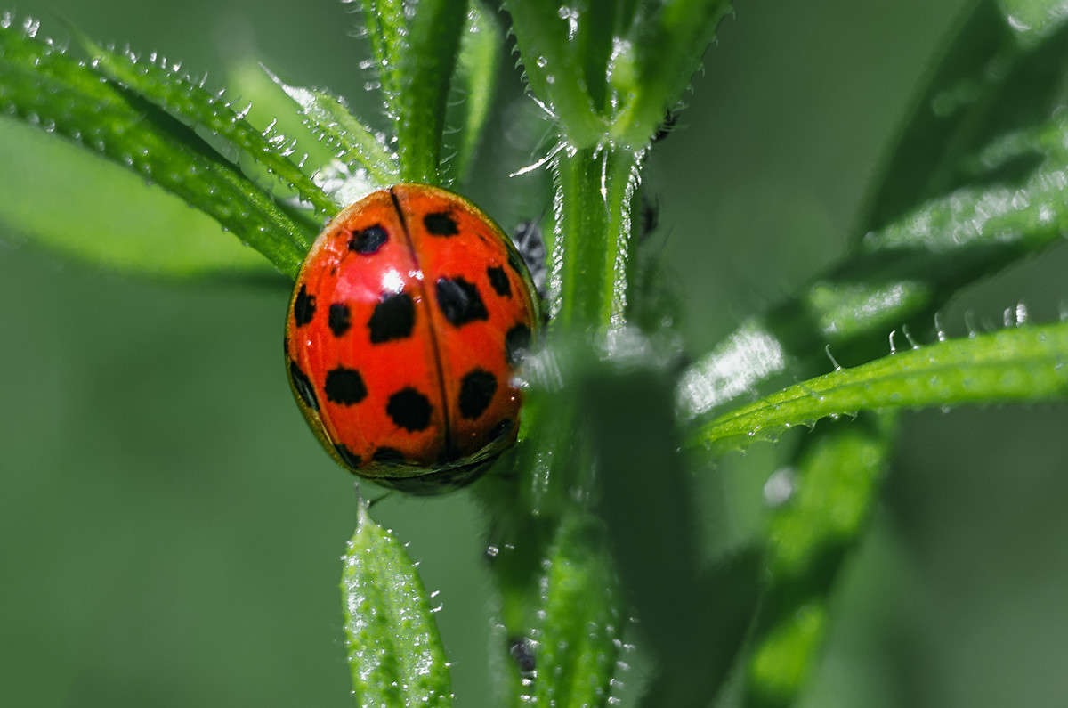 )))) ����� ������ ���������� �� PhotoGeek.ru #����� #���������
