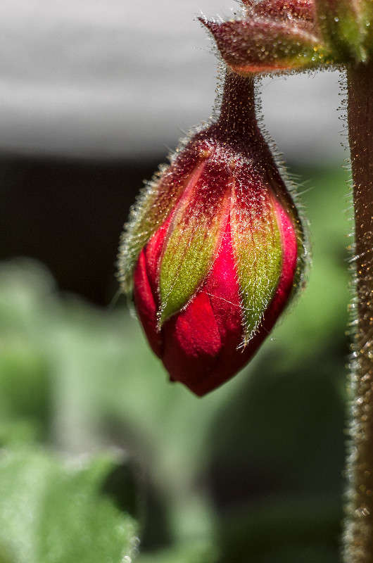 �������� ������ ����� ������ ���������� �� PhotoGeek.ru #����� #����� ��������������