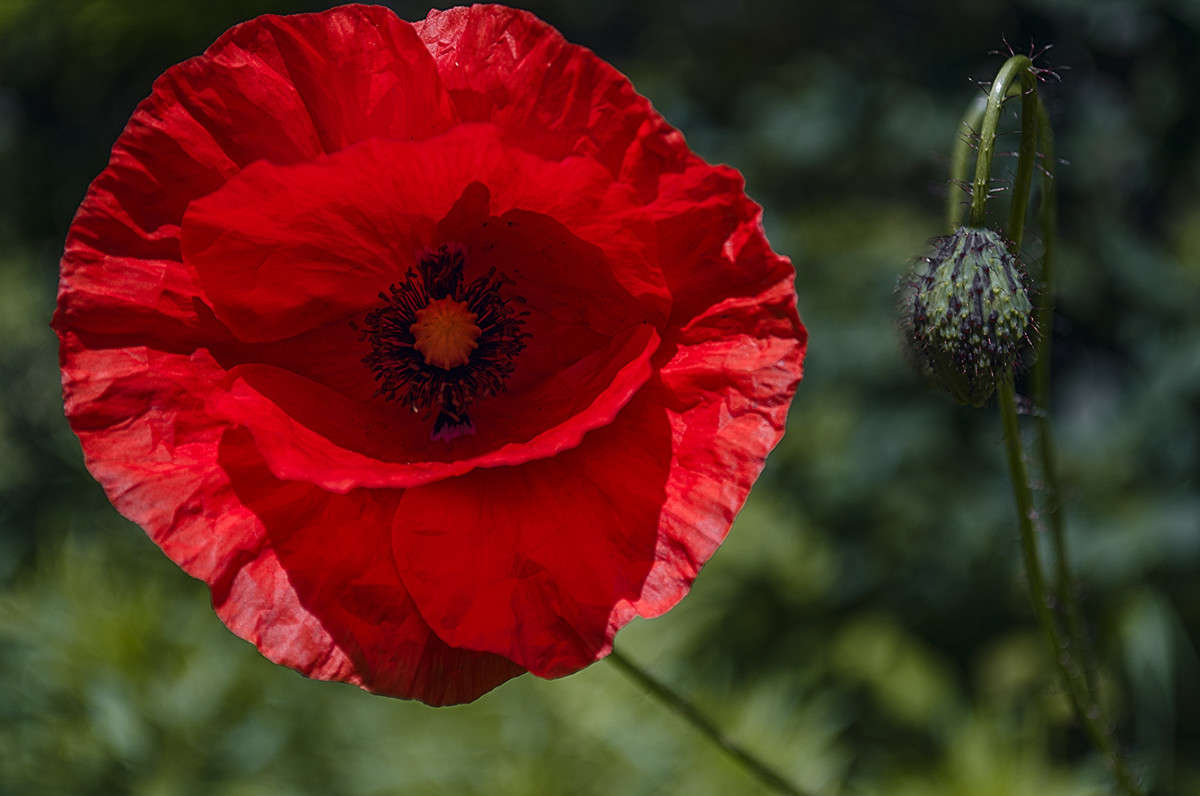 ))) ����� ������ ���������� �� PhotoGeek.ru #������ ��� ������� #����� ��������������