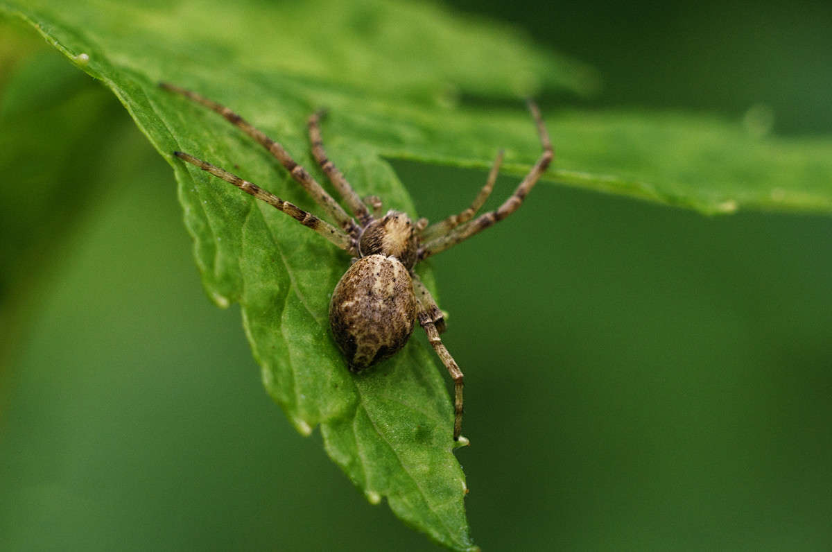 ����-� ����� ������ ���������� �� PhotoGeek.ru #�����