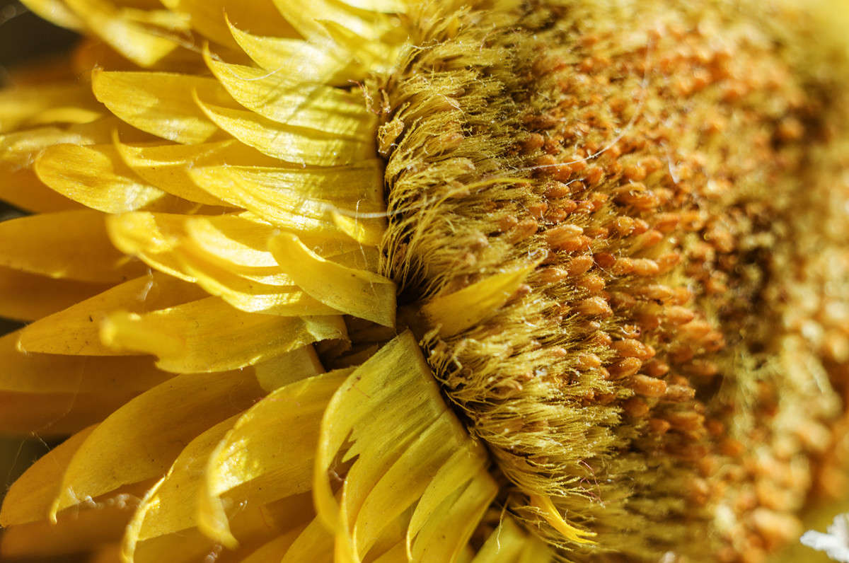 ))) ����� ������ ���������� �� PhotoGeek.ru #�����