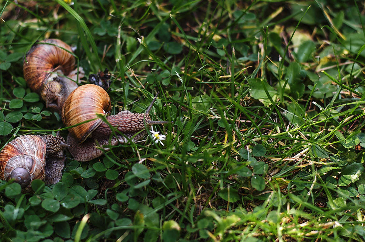 ������ ������ ����� ������ ���������� �� PhotoGeek.ru #������ ��� ������� #���������