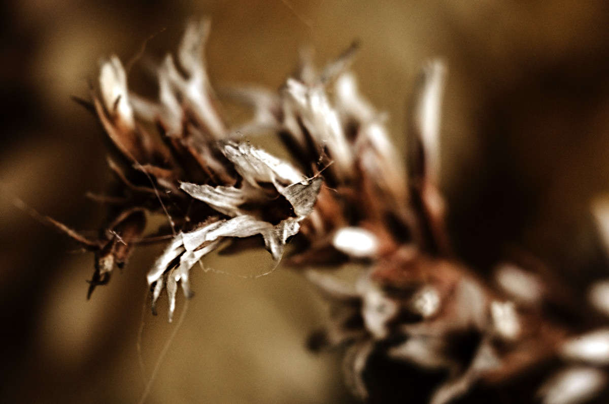 ����� �������� ����� ������ ���������� �� PhotoGeek.ru #�����