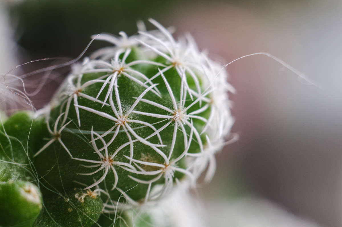 �������� ����� ������ ���������� �� PhotoGeek.ru #�����