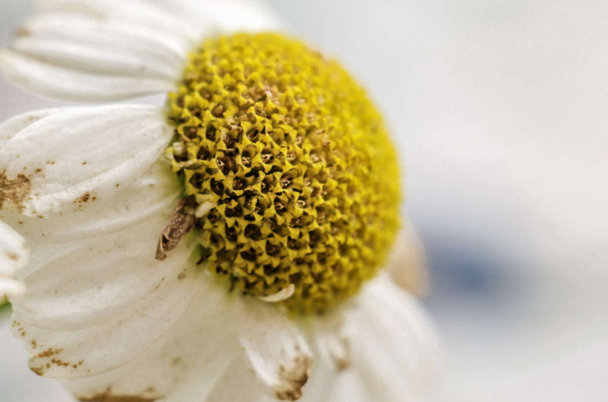 ��������� ����� ������ ���������� �� PhotoGeek.ru #�����