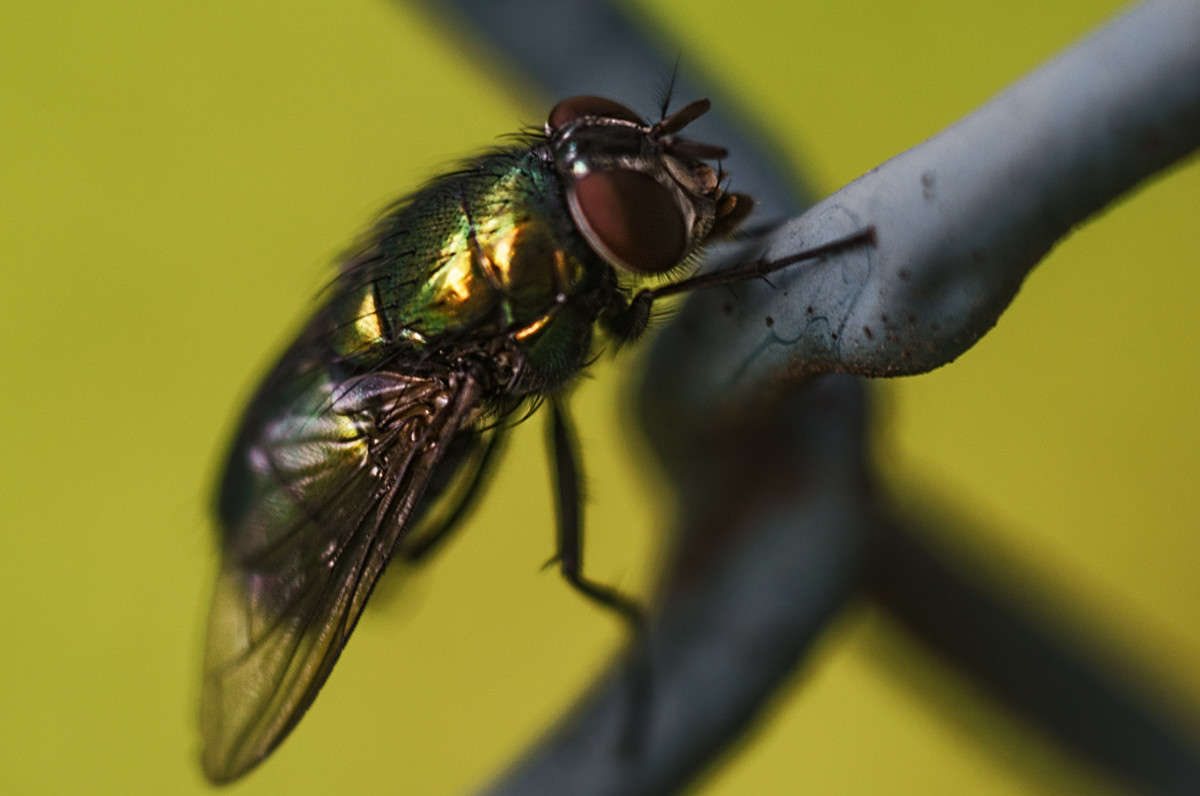 ��� ����� ������ ���������� �� PhotoGeek.ru #����� #���������