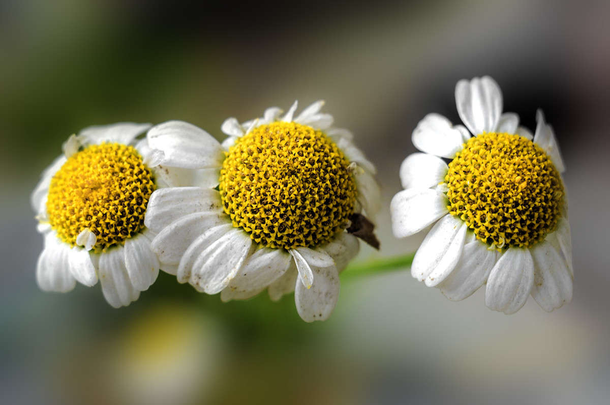 ��������� ����� ������ ���������� �� PhotoGeek.ru #������ ��� ������� #���������