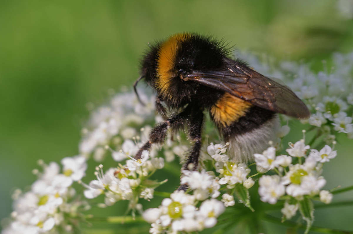 ))) ����� ������ ���������� �� PhotoGeek.ru #������ ��� ������� #���������