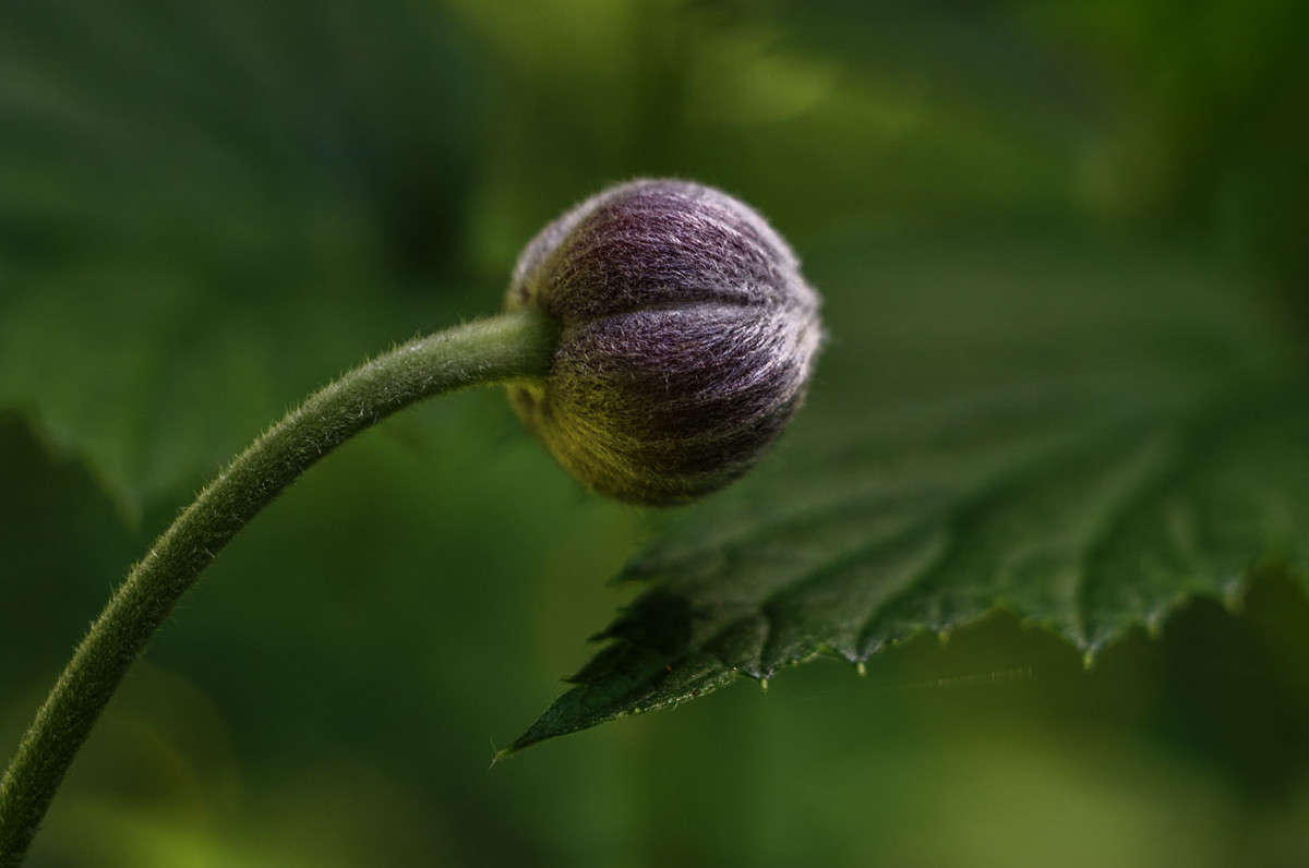 ))) ����� ������ ���������� �� PhotoGeek.ru #������ ��� ������� #���������