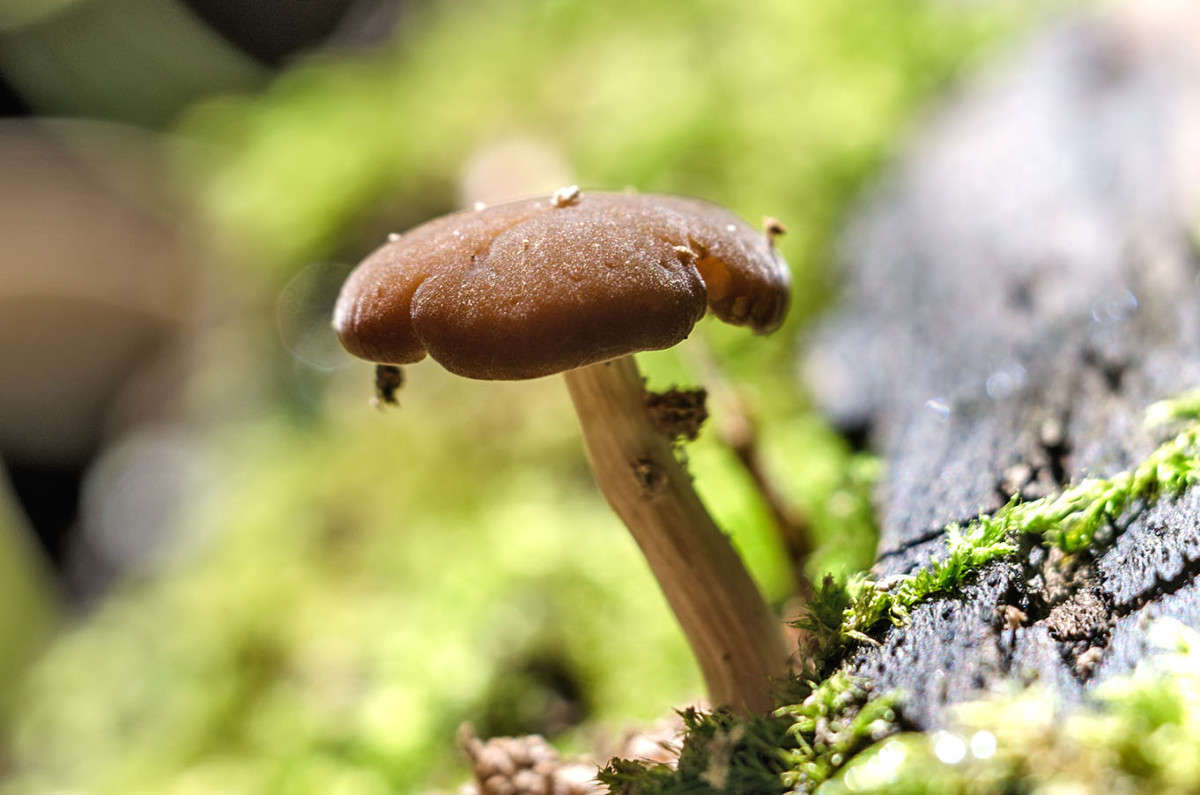 ))) ����� ������ ���������� �� PhotoGeek.ru #������ ��� ������� #���������