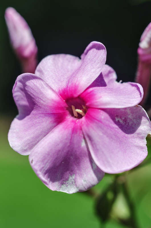 ))) ����� ������ ���������� �� PhotoGeek.ru #������ ��� ������� #���������