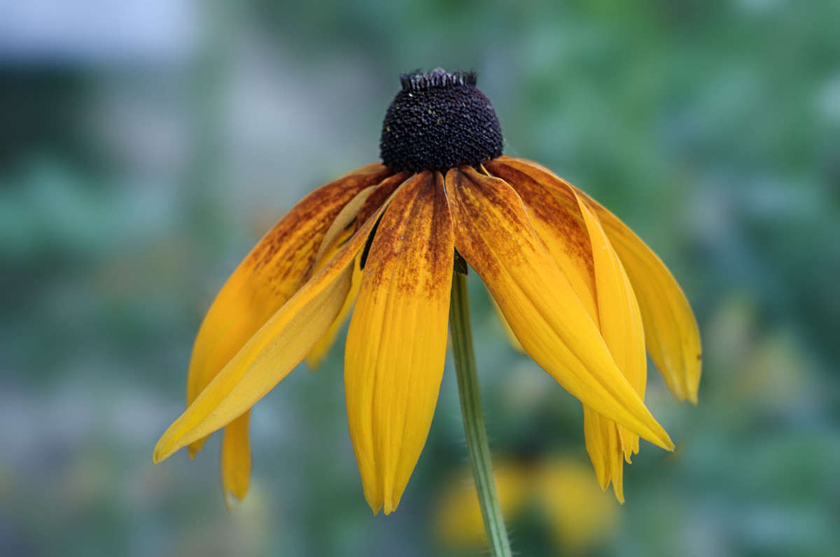 ))) ����� ������ ���������� �� PhotoGeek.ru #������ ��� ������� #���������