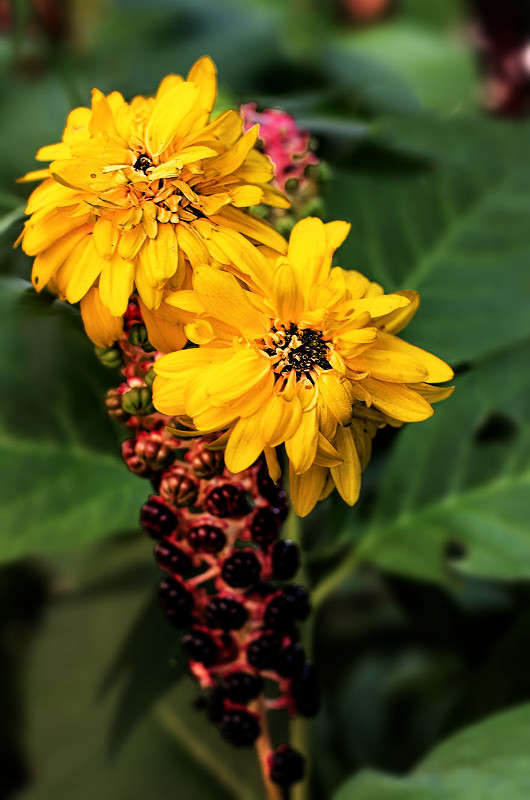 ������� ����� ������ ���������� �� PhotoGeek.ru #������ ��� ������� #���������