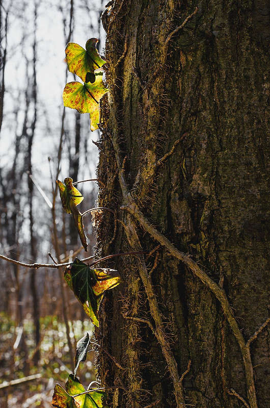 ����� ����� ������ ���������� �� PhotoGeek.ru #������ ��� ������� #���������