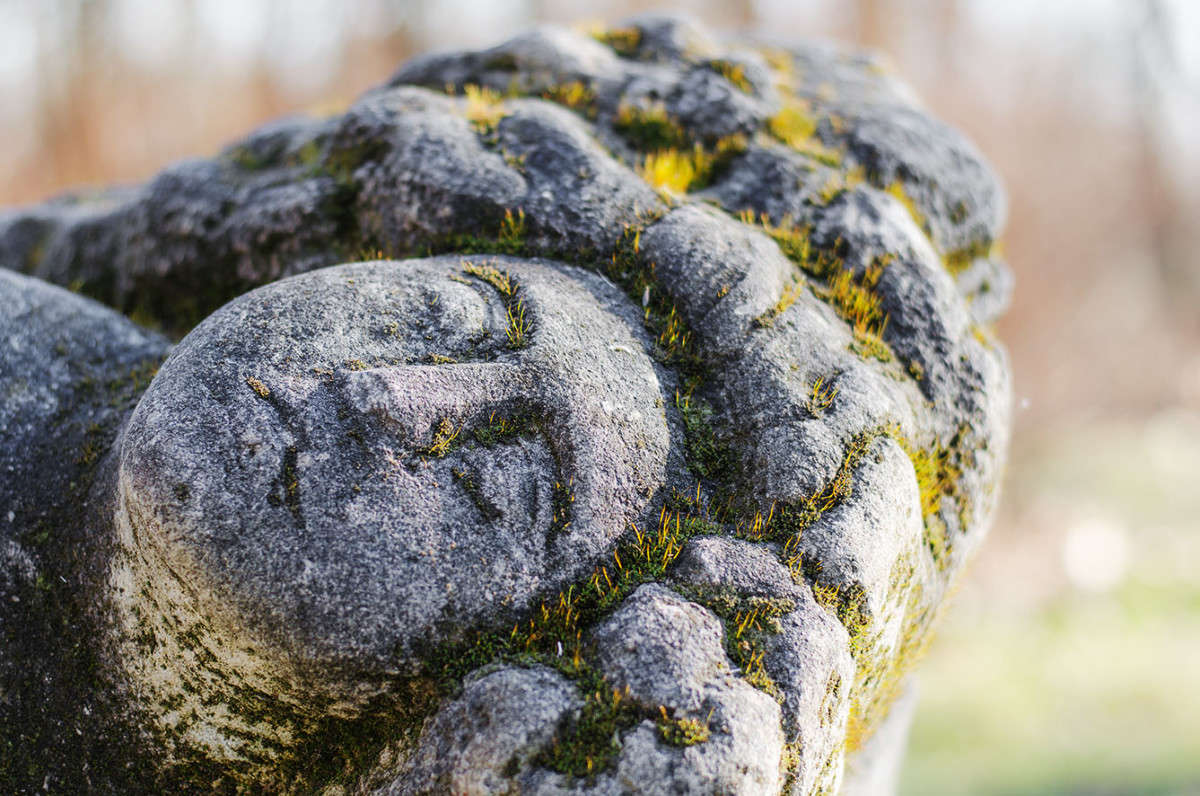 ���������� �� ������ � �������������� ����� ����� ������ ���������� �� PhotoGeek.ru #����� #��������� ������