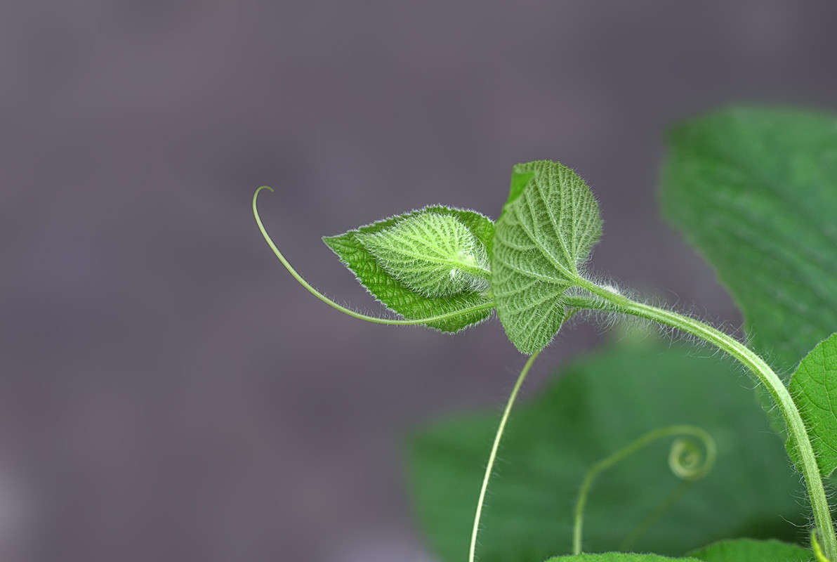 ��������� ����� ������ ���������� �� PhotoGeek.ru #������ ��� ������� #���������