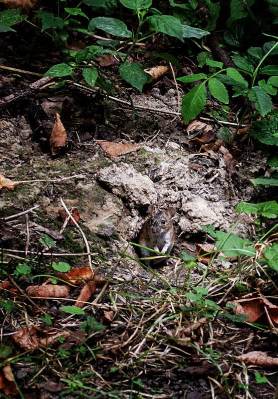 �����. �������.... ����� ������ ���������� �� PhotoGeek.ru #�������� ��� #����� ��� ��� ���������