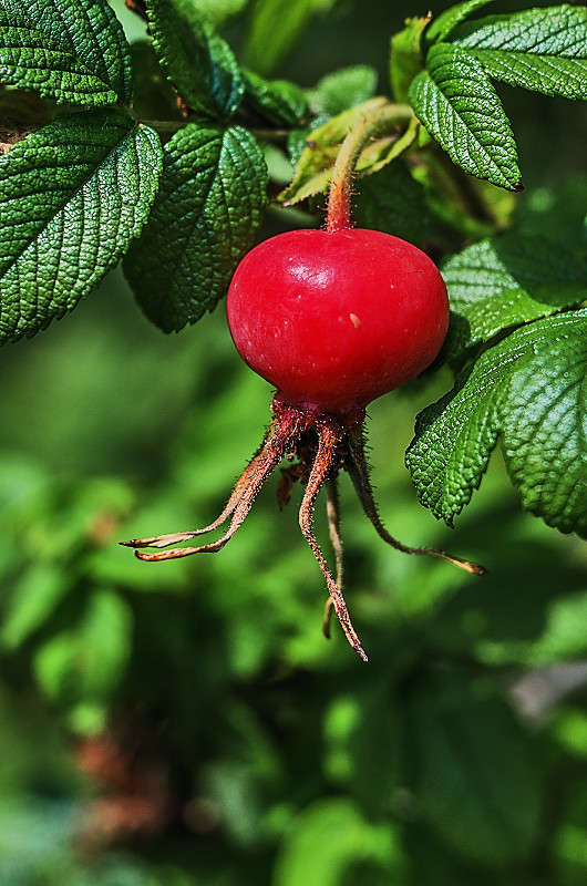 ))) ����� ������ ���������� �� PhotoGeek.ru #����� #����� ��������������