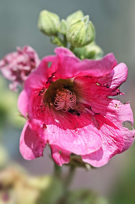 ))) ����� ������ ���������� �� PhotoGeek.ru #������ ��� ������� #���������