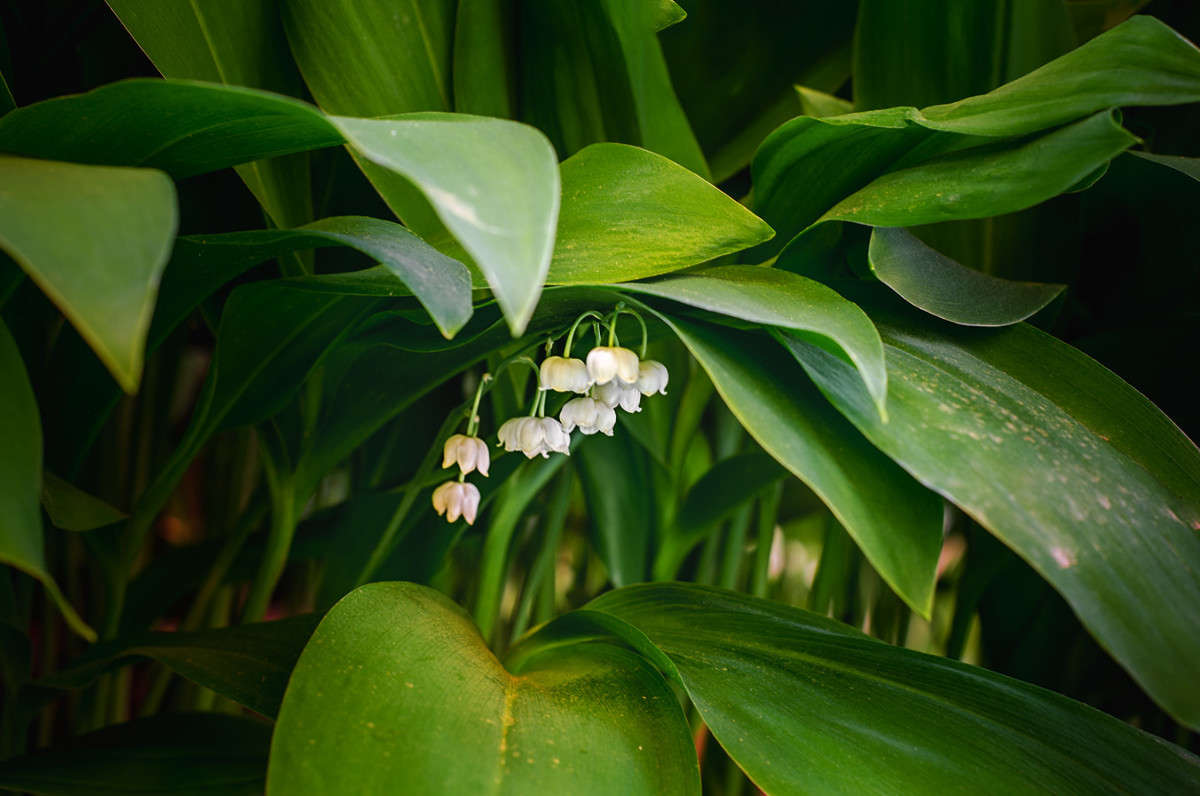 ))) ����� ������ ���������� �� PhotoGeek.ru #������ ��� ������� #���������