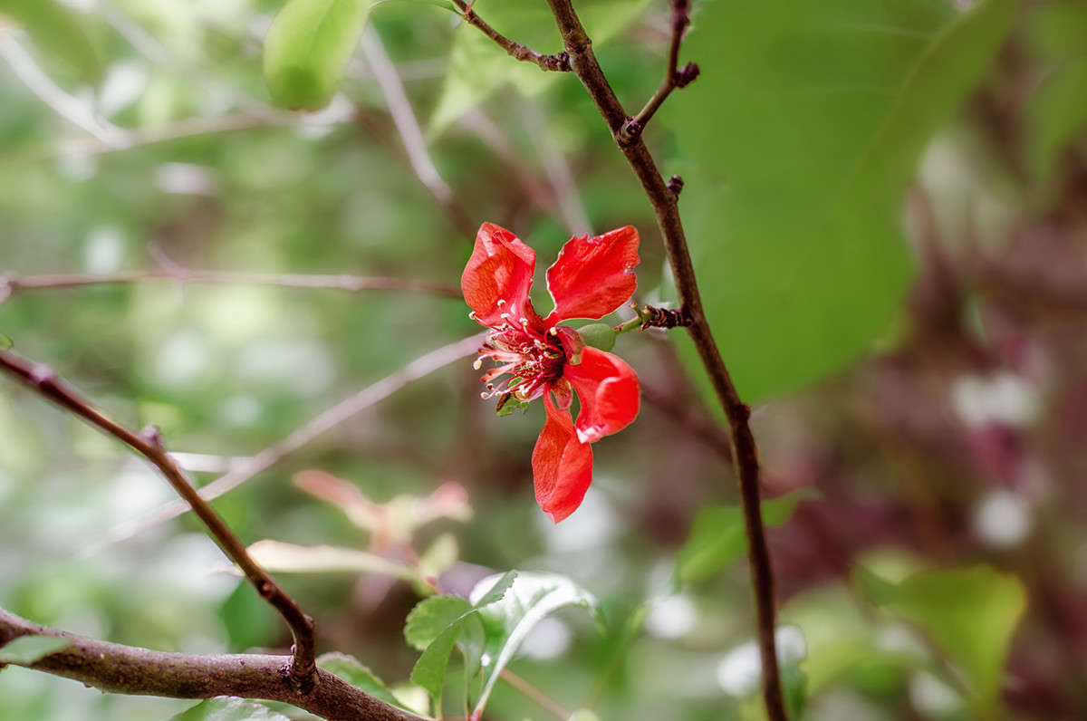 ))) ����� ������ ���������� �� PhotoGeek.ru #������ ��� ������� #����� �������������� #���������