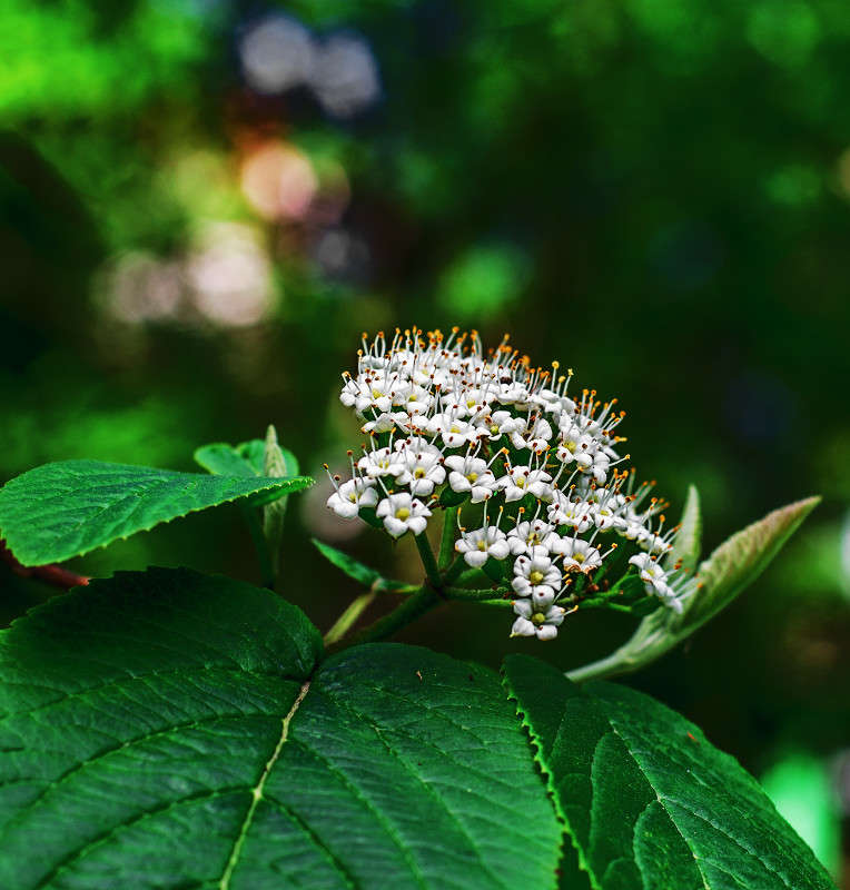 ))) ����� ������ ���������� �� PhotoGeek.ru #������ ��� ������� #���������